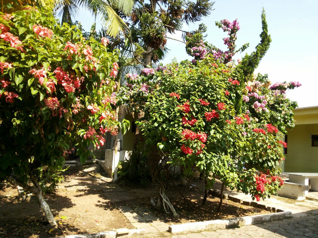 Foto 4