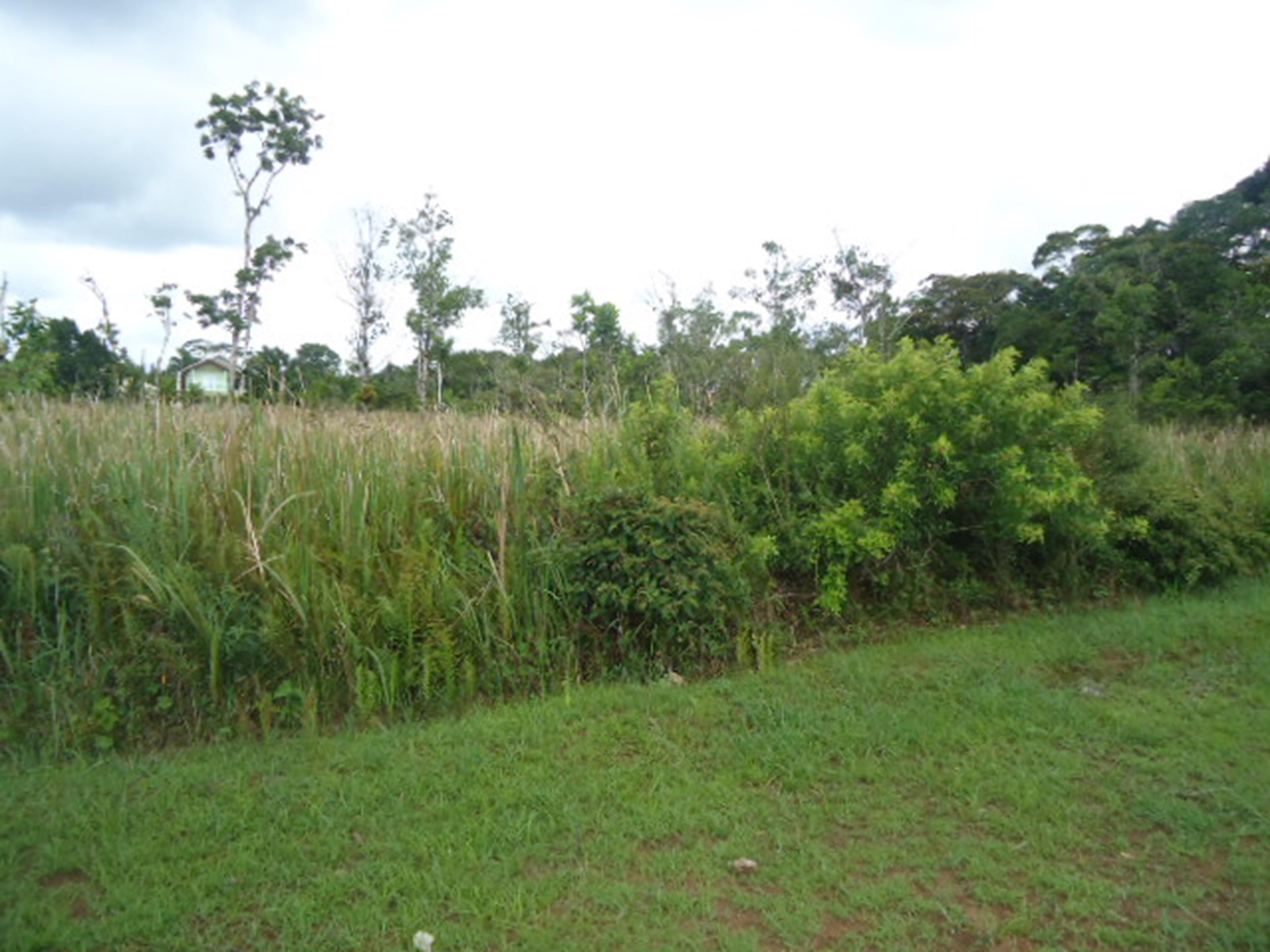 terreno em Bougainvillée