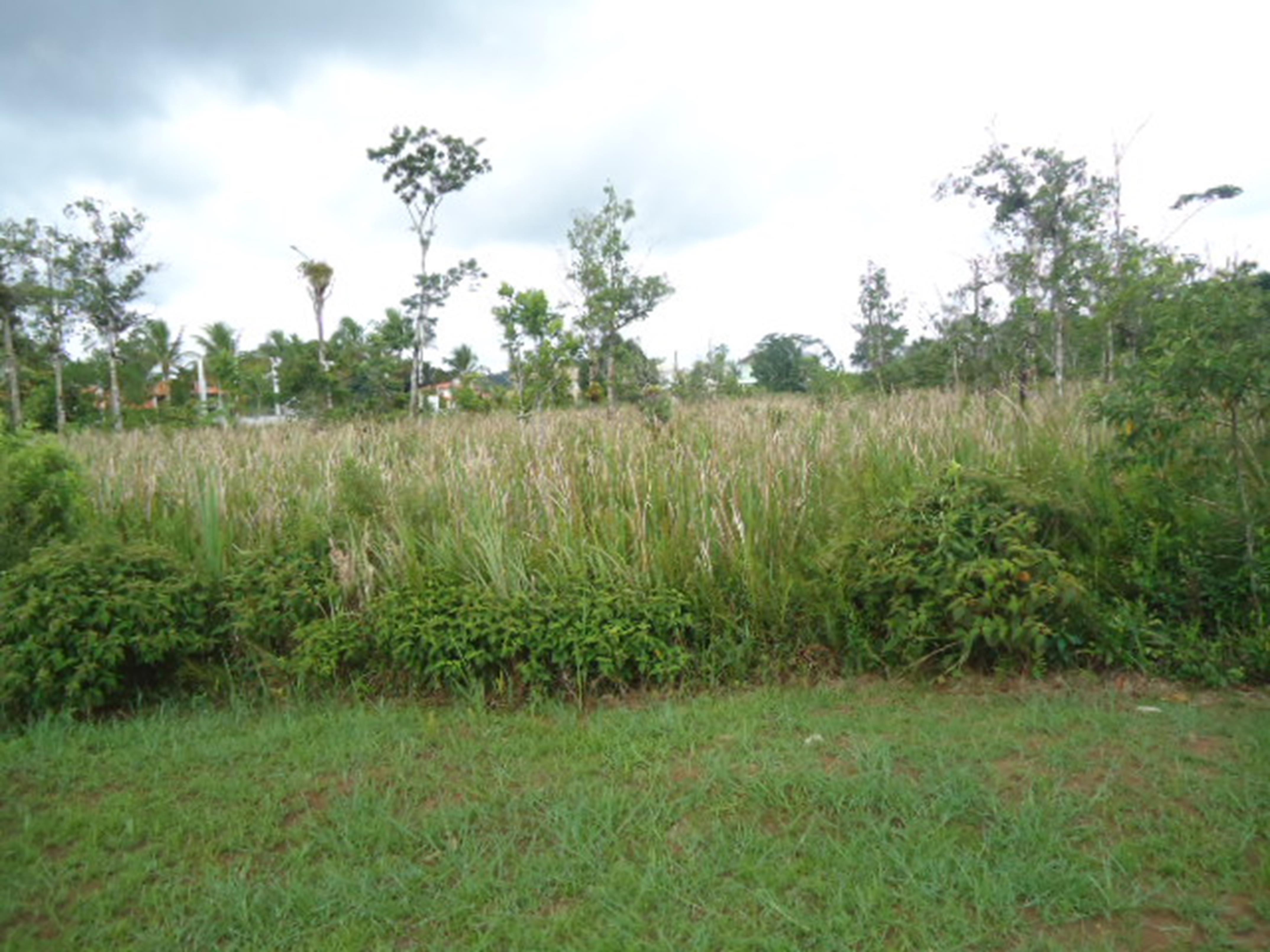 terreno em Bougainvillée